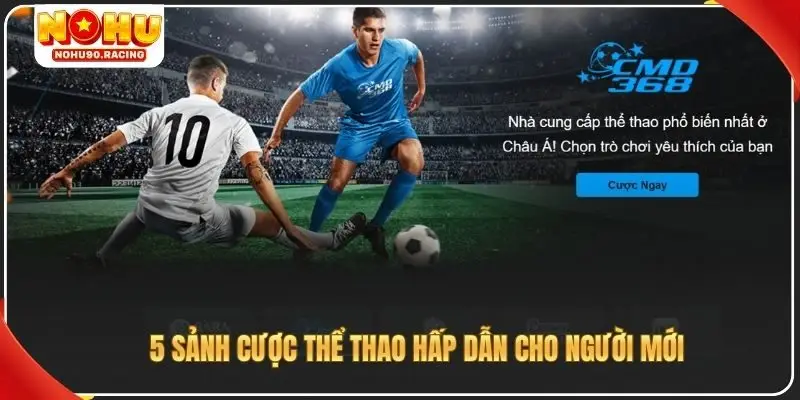 5 sảnh cược thể thao hấp dẫn cho người mới