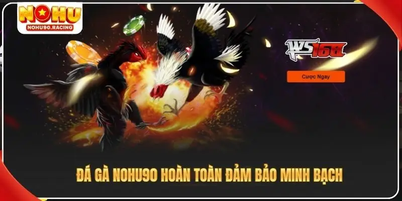 Đá gà Nohu90 hoàn toàn đảm bảo minh bạch